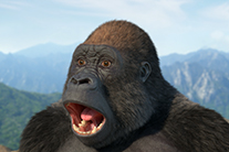 animation by Rob de Wit