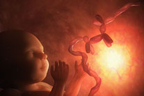 digital-art by Rob de Wit