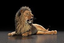 digital-art by Rob de Wit